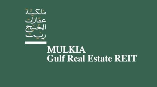 إلزام الجهات العامة الراغبة في تأسيس الشركات أو الاشتراك في تأسيسها مخاطبة صندوق الاستثمارات العامة للنظر في الطلب